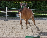 1-13JUIN 0913